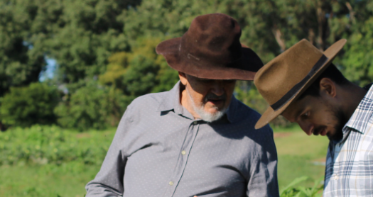 Gestión y organización de la explotación agraria (dirigido al sector Agricultura y Ganadería)