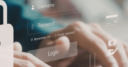 Gestión de la ciberseguridad en PYMES. Comercio electrónico seguro + acceso a examen oficial IT Specialist Cybersecurity gratis